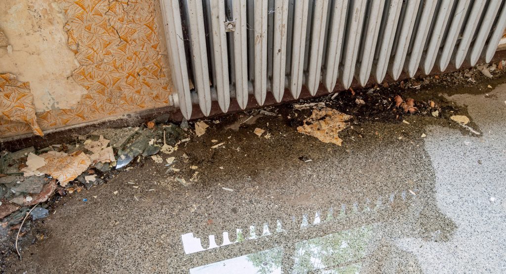 Health and Property Risks from Damp and Mould